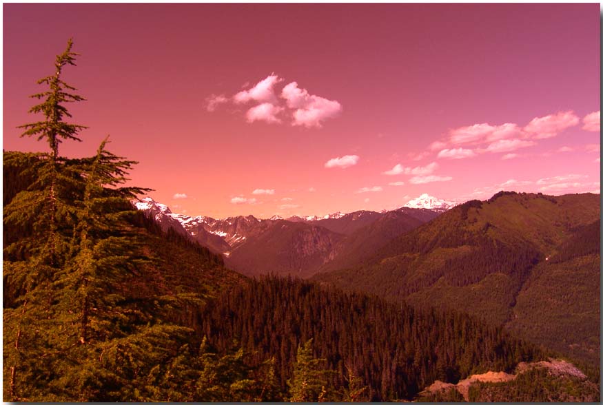 photo "Great Northwest" tags: landscape, forest, mountains