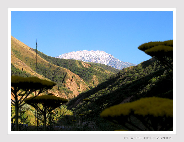 photo "Chimgan" tags: landscape, mountains