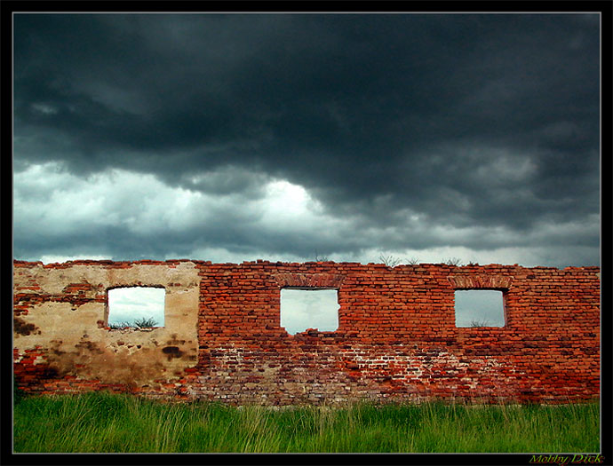 фото "The wall" метки: жанр, разное, 