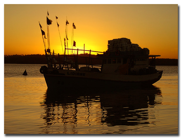 фото "Golden Sunset" метки: природа, 