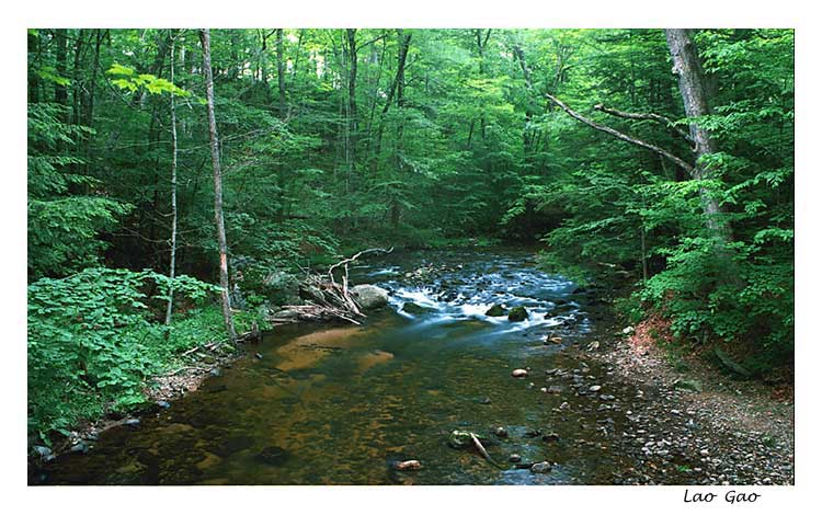 photo "Cool place for summer" tags: landscape, forest, water