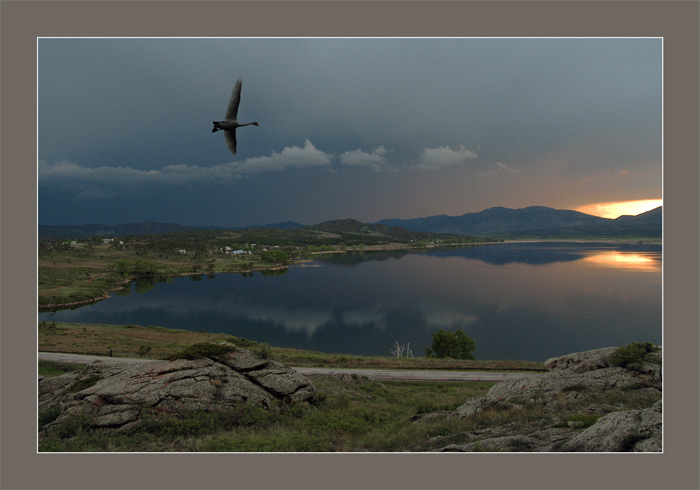 фото "К  родному  гнезду ..." метки: природа, дикие животные