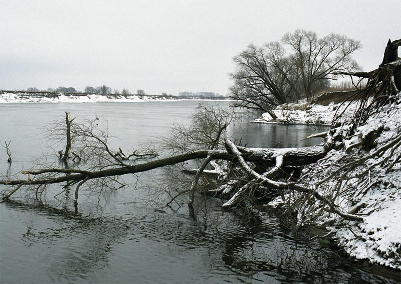 photo "The winter has come" tags: landscape, black&white, water