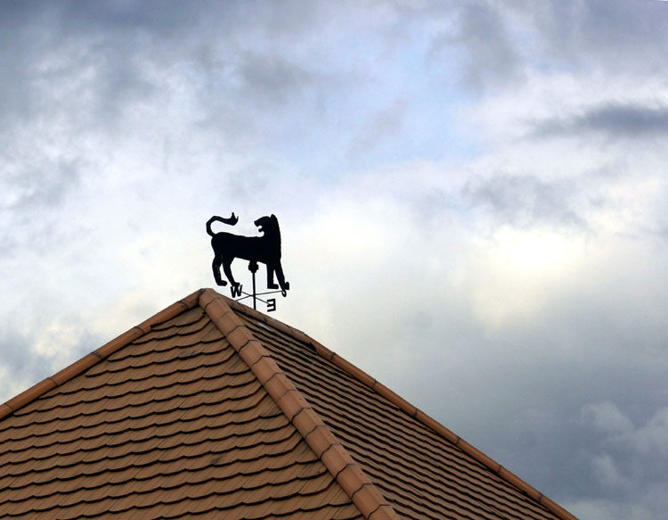 photo "On the roof" tags: architecture, landscape, 