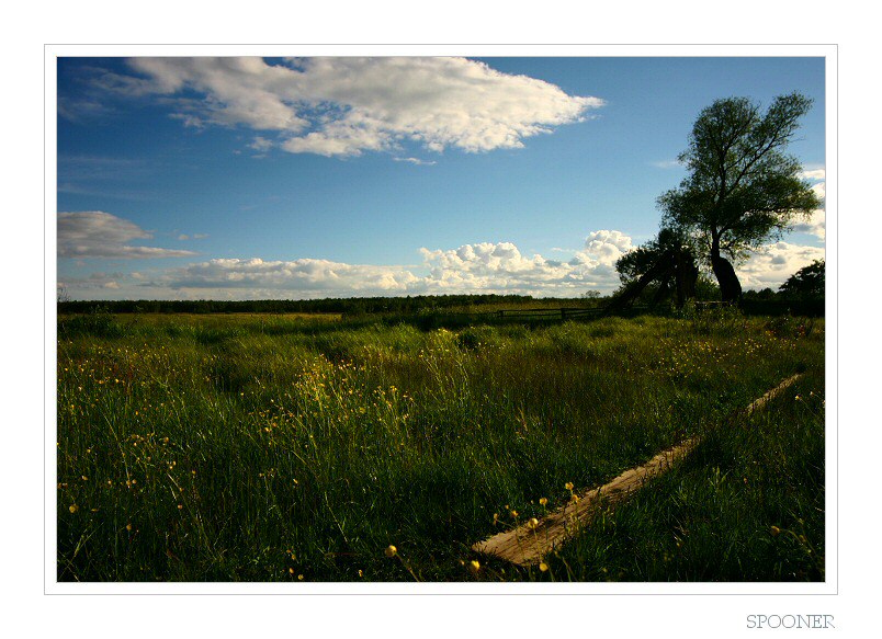 фото "НОВЫЙ ДЕНЬ" метки: пейзаж, природа, 