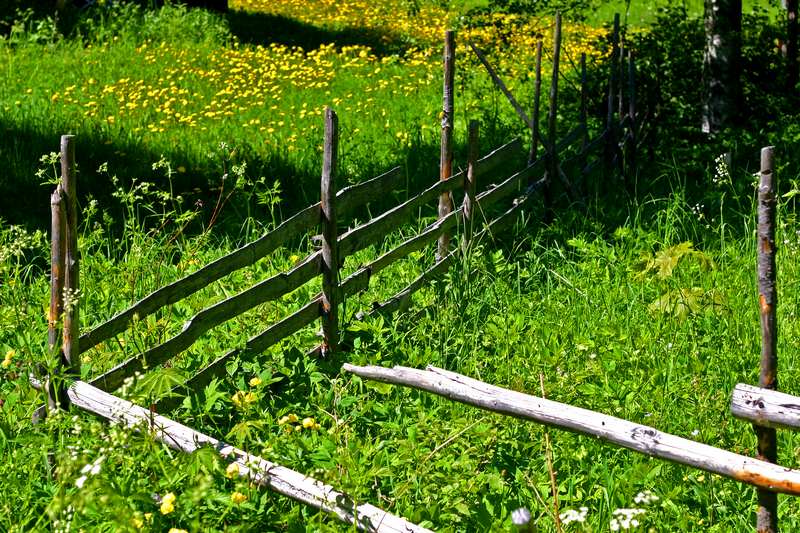 photo "Fence" tags: landscape, summer