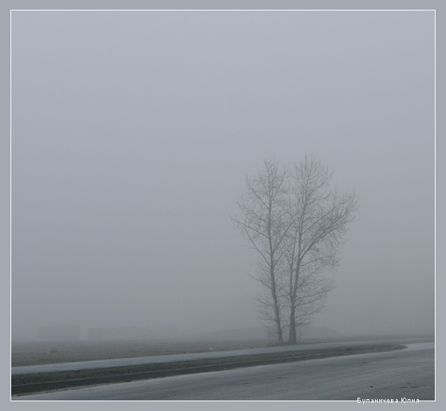 photo "...morning, tree, fog..." tags: nature, 