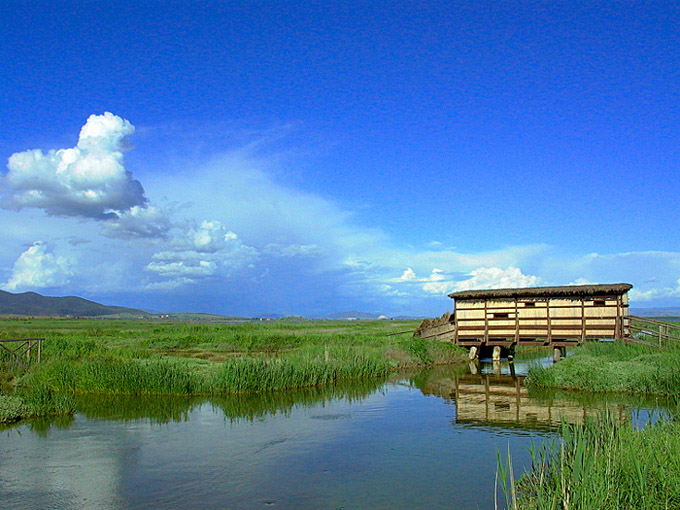 photo "The hut in the marsh" tags: landscape, spring, water