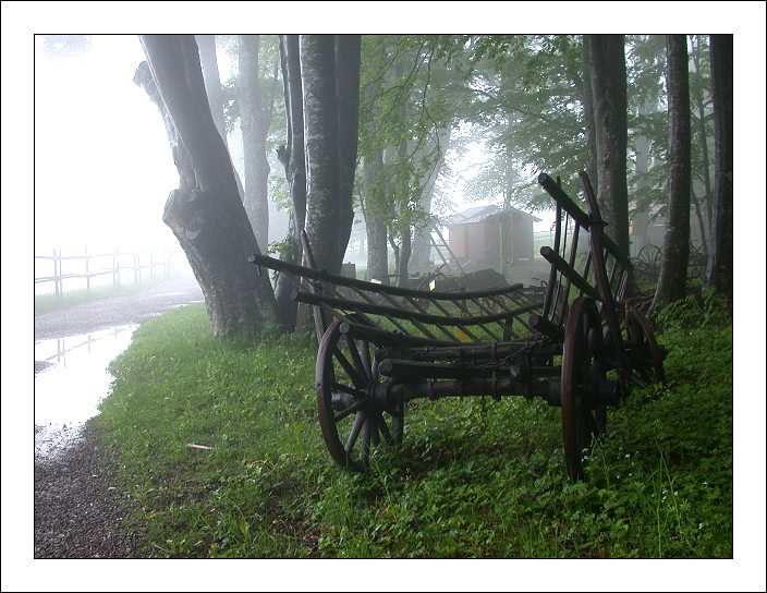 photo "An Old Cart" tags: landscape, clouds, forest