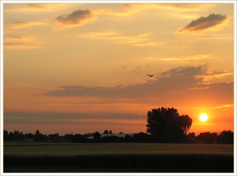 photo "Sunrise 19.6.2004" tags: landscape, sunset