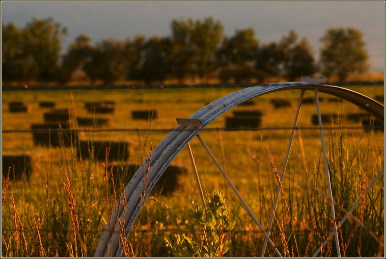 photo "About Agriculture" tags: nature, landscape, summer