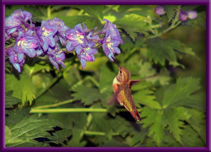 photo "Lunch Time" tags: nature, 