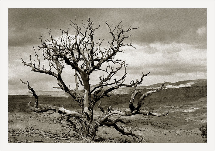 photo "Capitol Reef" tags: travel, landscape, North America, mountains