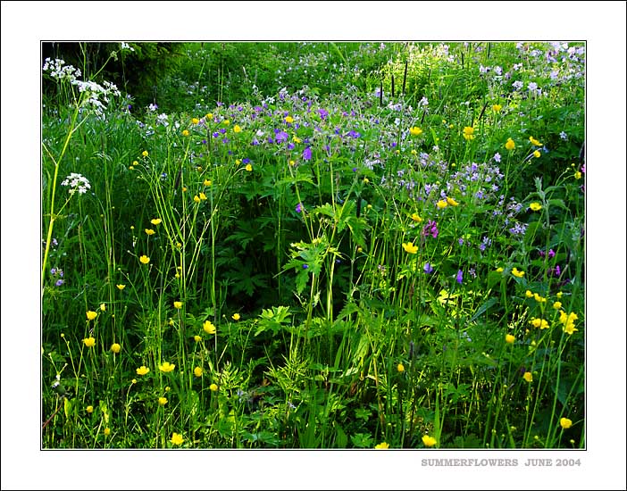 фото "Untitled photo" метки: разное, 