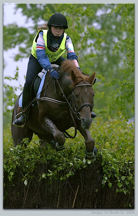 photo "Stallion "Pello" in a jump" tags: sport, reporting, 