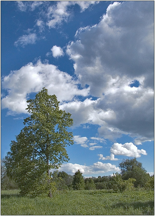 photo "Fine day" tags: landscape, clouds, summer