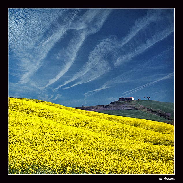 photo "In Toscana" tags: landscape, summer