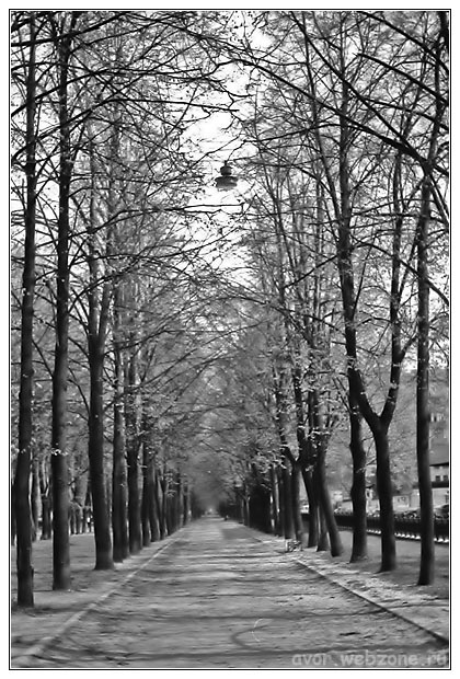 photo "Lantern" tags: black&white, misc., 