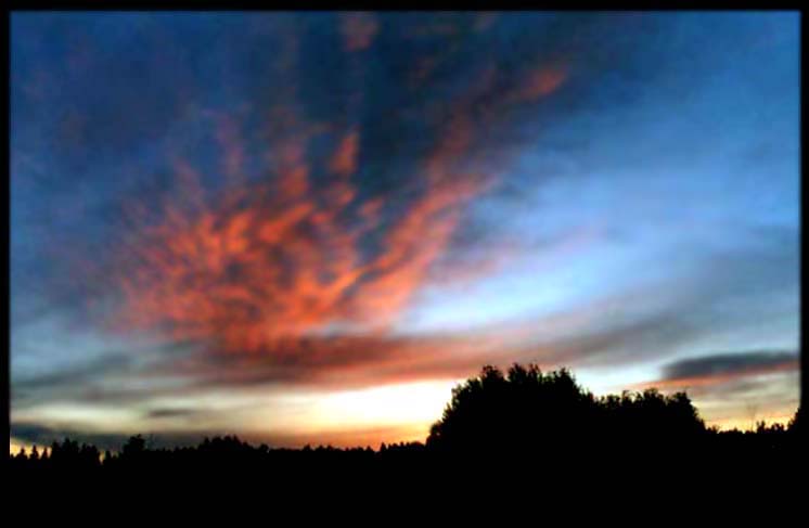 photo "Heavenly hand" tags: landscape, summer, sunset