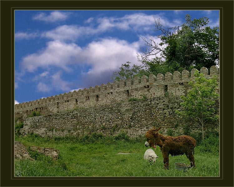 photo "Friends from Kakheti" tags: nature, landscape, clouds, pets/farm animals