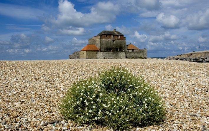 photo "Embleteuse - France" tags: misc., landscape, summer