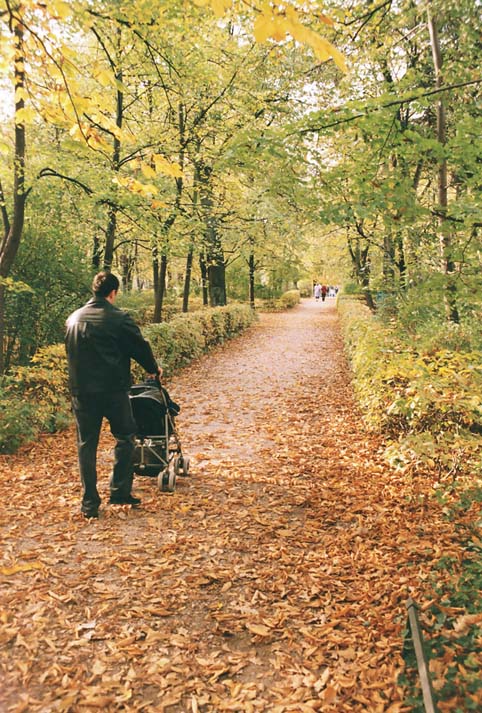 фото "Autumn of life" метки: пейзаж, осень