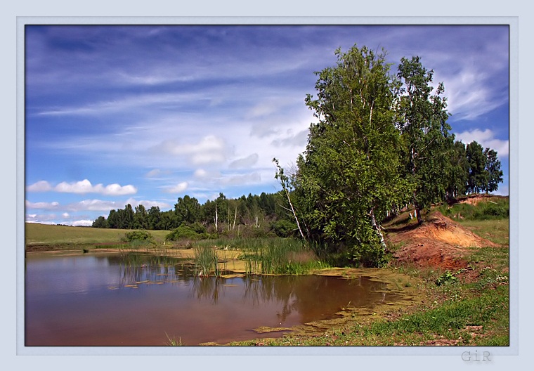 фото "Уголок природы" метки: природа, 