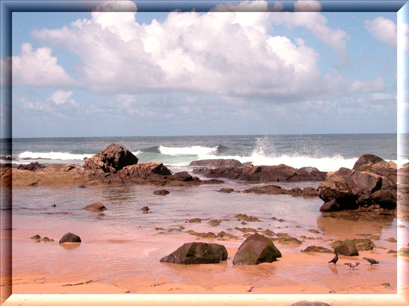 photo "Sea Breeze" tags: landscape, summer, water