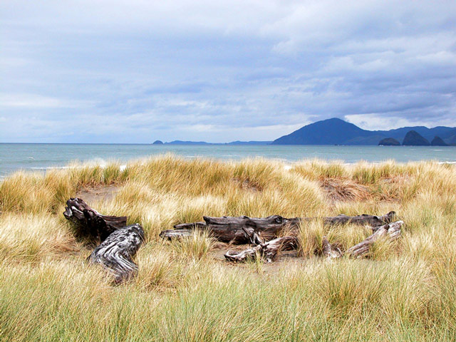 фото "driftwood" метки: пейзаж, вода