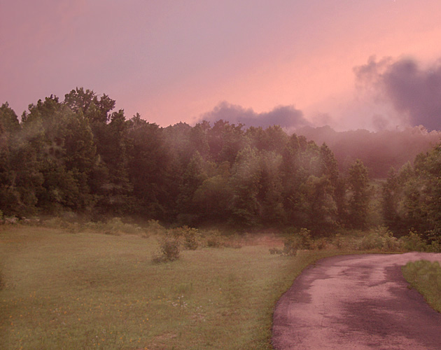 photo "Summer Silence" tags: landscape, forest, sunset