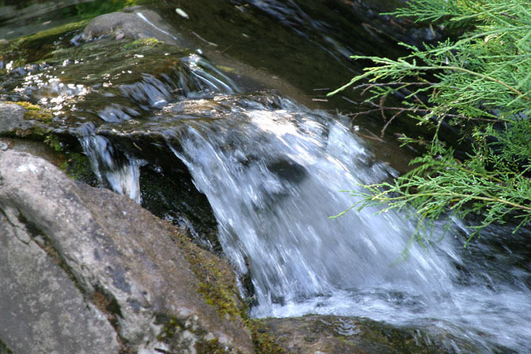 photo "Small forest cascade" tags: landscape, forest, water