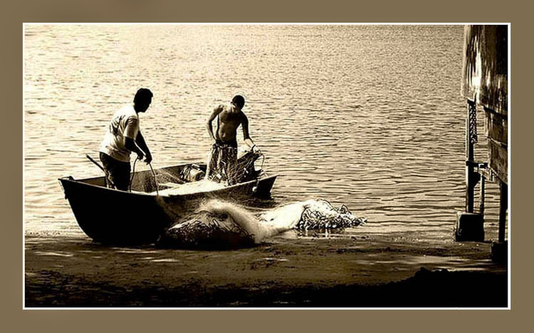 photo "Fishermen" tags: landscape, water