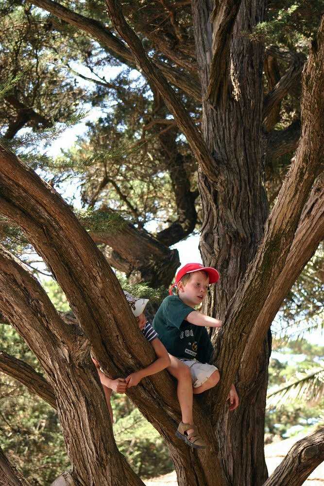 photo "Playing on the old tree" tags: portrait, children