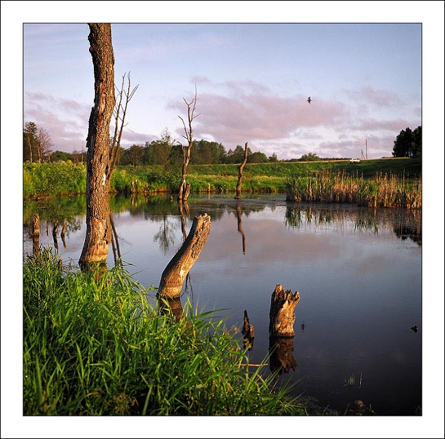 photo "Exercises with Hasselblad on coast of the river" tags: landscape, summer, water