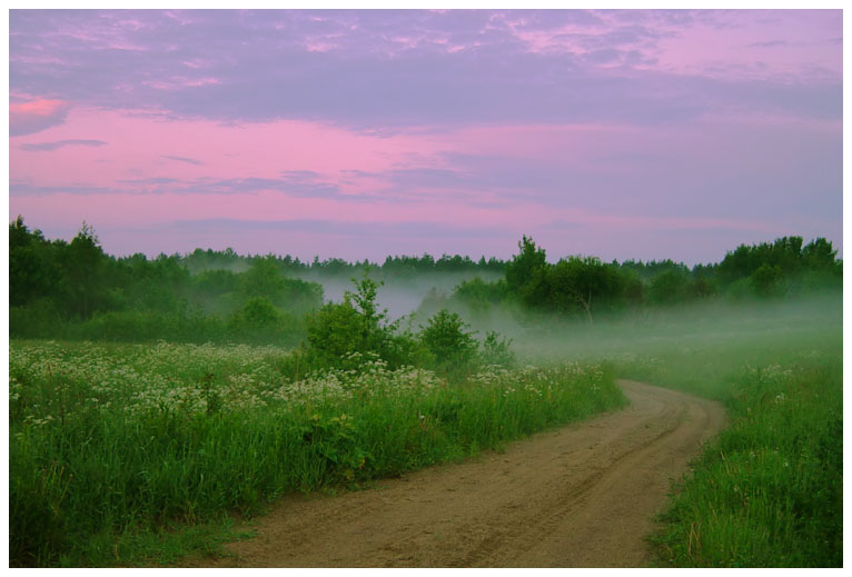 photo "Road to the unknown" tags: landscape, forest, sunset