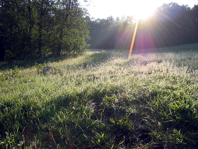 photo "Dawn" tags: landscape, summer, sunset