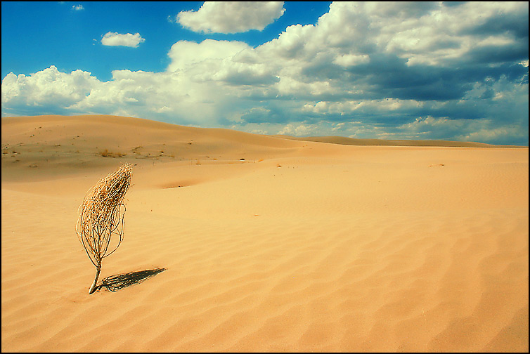 photo "Little Sahara - 2" tags: landscape, 