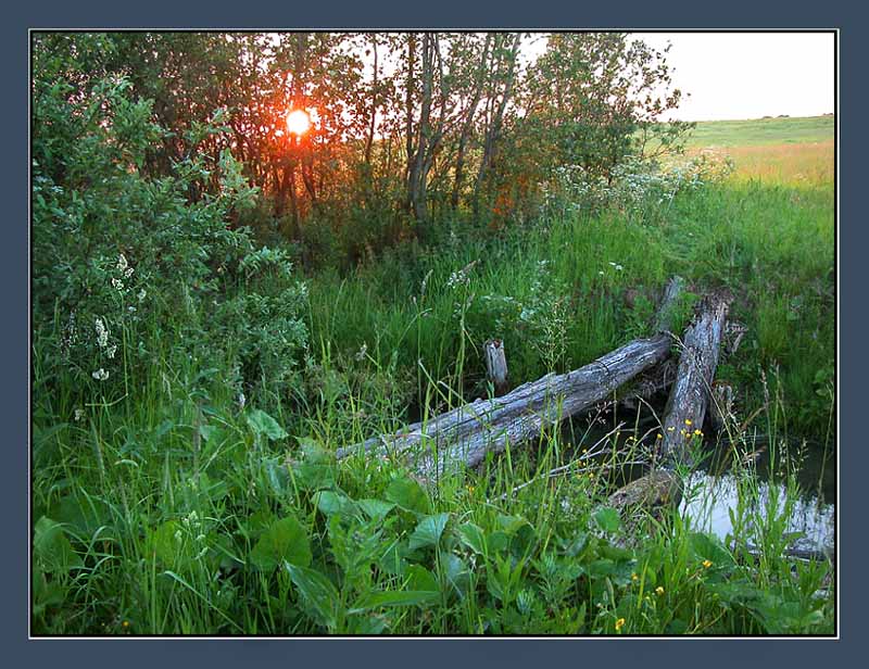 photo "The old bridge" tags: landscape, summer, sunset