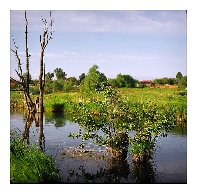 photo "To whom to decay, and to whom to blossom..." tags: landscape, summer, water