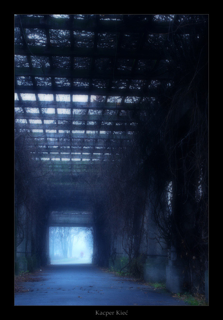 photo "pergola" tags: architecture, landscape, winter