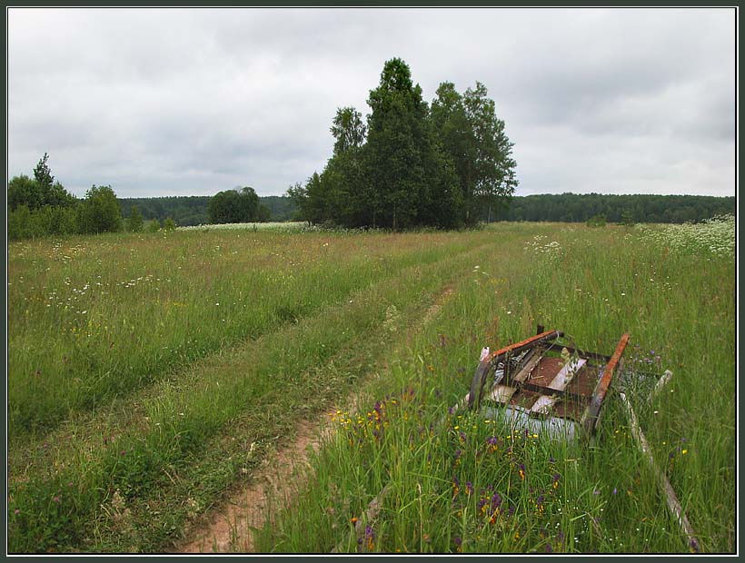 photo "On a roadside" tags: landscape, genre, summer