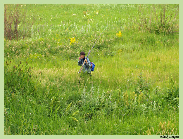 photo "Summer fishing" tags: genre, nature, 