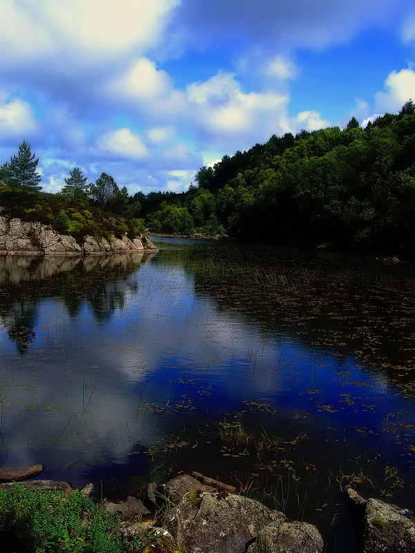 photo "-" tags: landscape, summer, water