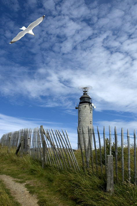 photo "cap blanc nez.2 - France" tags: misc., landscape, summer