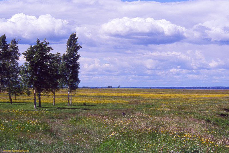 photo "-" tags: landscape, clouds, summer