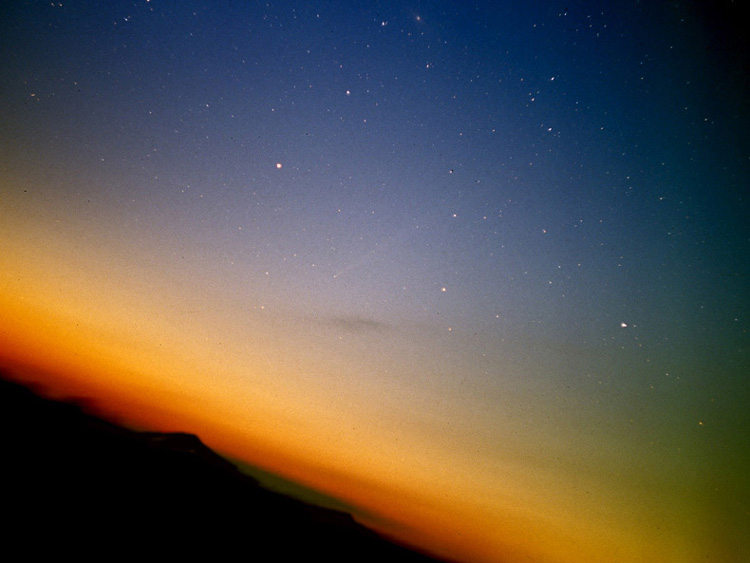 photo "A visitor" tags: landscape, night