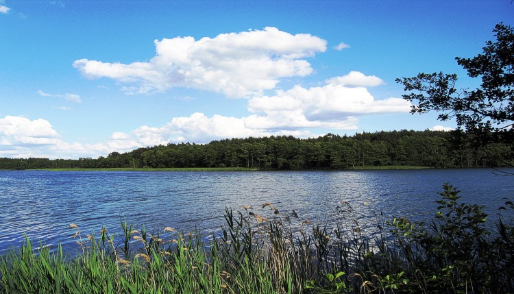 photo "///" tags: landscape, water