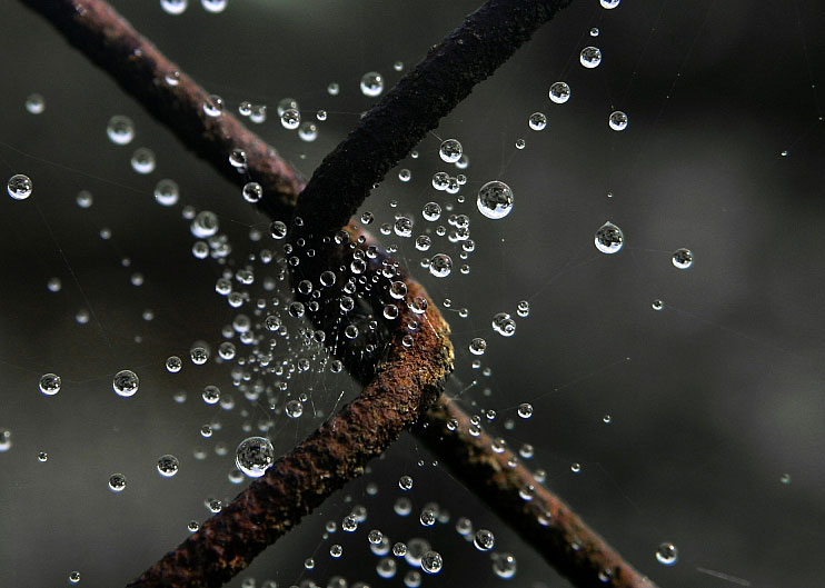 фото "Bubbles" метки: разное, 