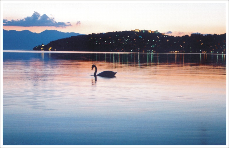 фото "Swan" метки: пейзаж, вода