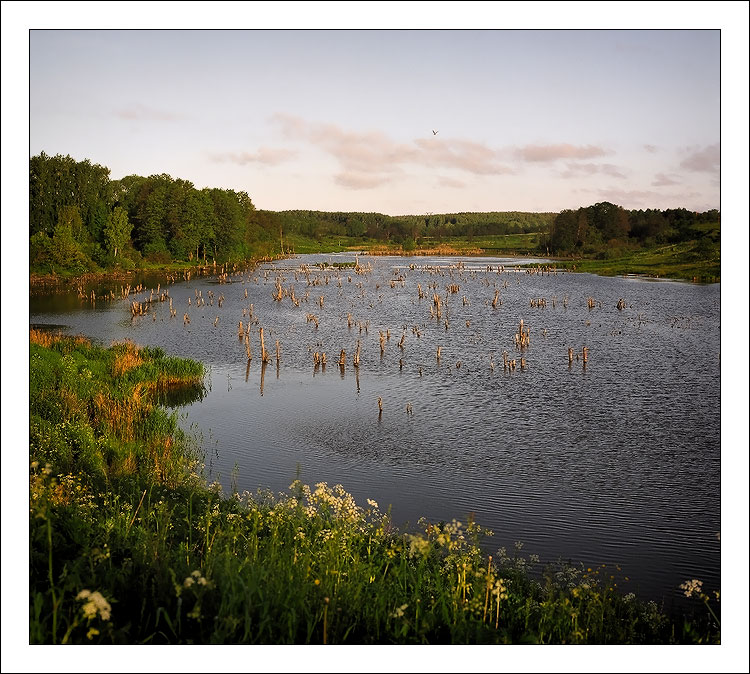 photo "Open space" tags: landscape, summer, water